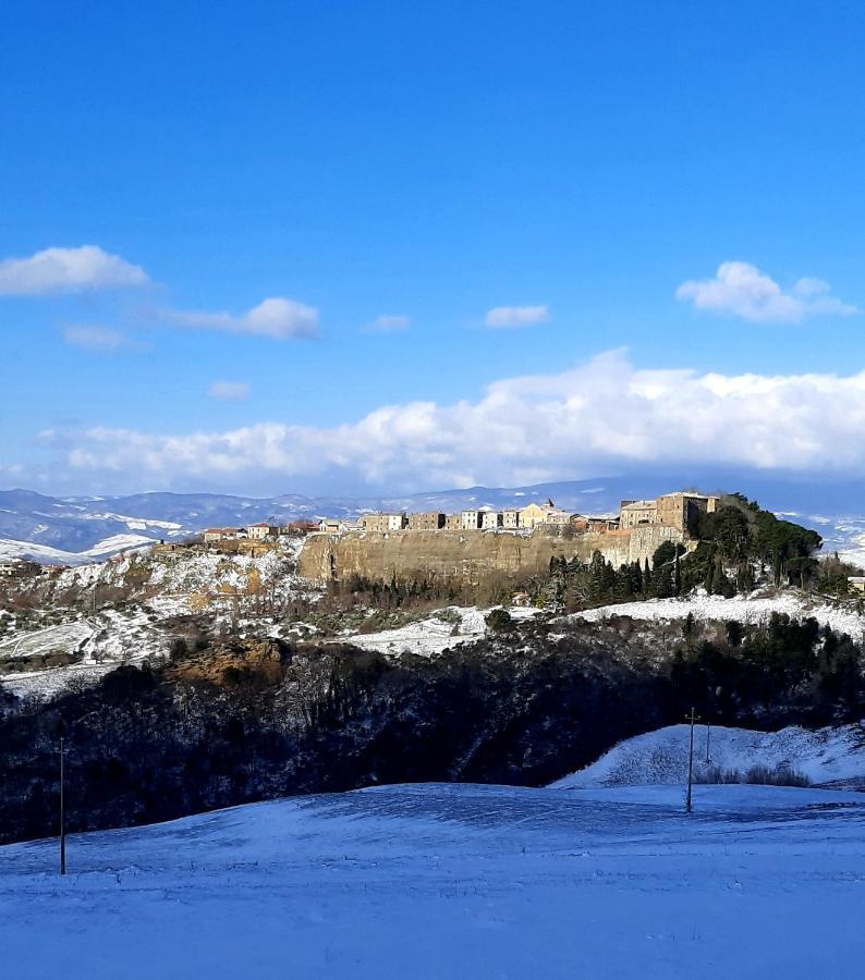 Podere Orto Wine Country House Trevinano エクステリア 写真