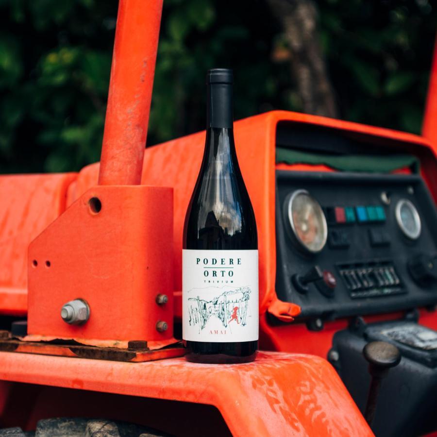 Podere Orto Wine Country House Trevinano エクステリア 写真