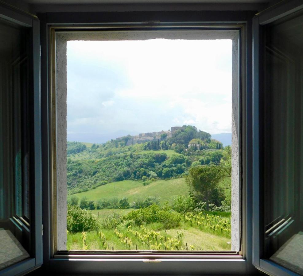 Podere Orto Wine Country House Trevinano エクステリア 写真