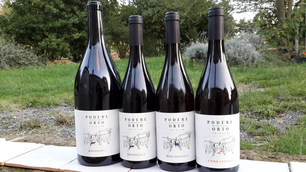 Podere Orto Wine Country House Trevinano エクステリア 写真